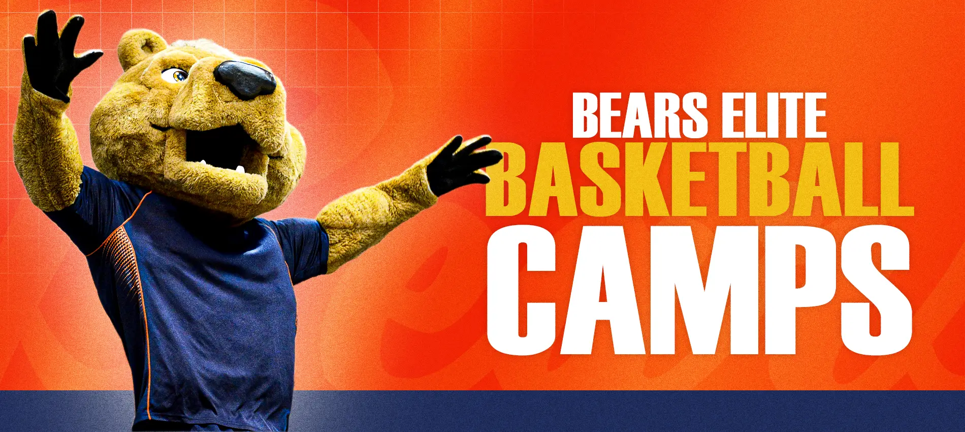 Bears Elite Basketball Camps
